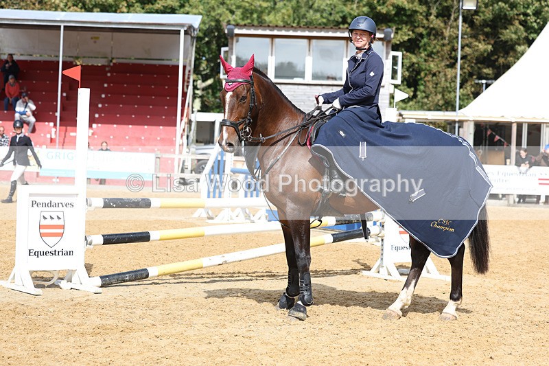 3E7A9512 - Class 9: Senior British Novice/90cm open