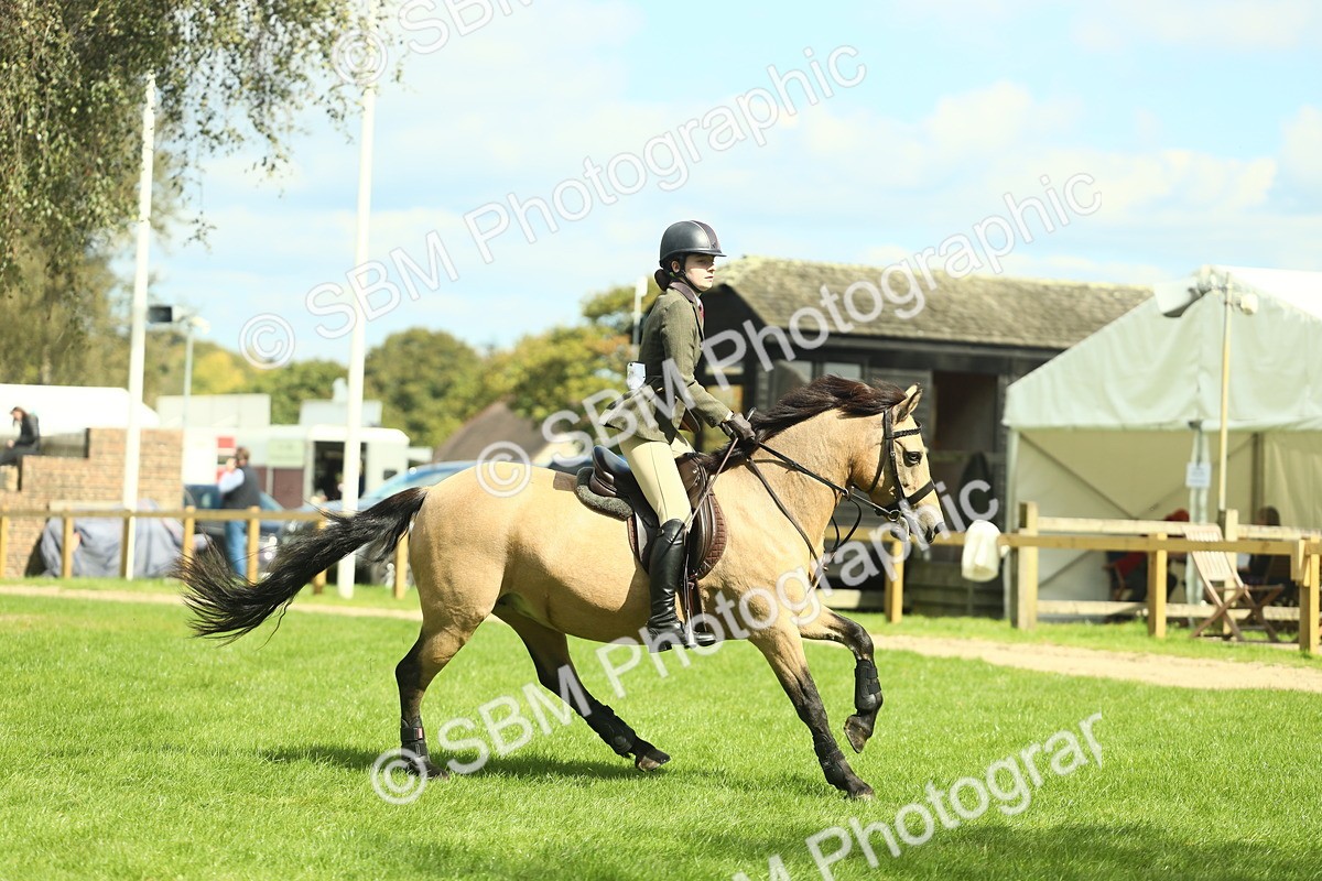 SBM_42852 - S30 - M&M Working hunter Pony