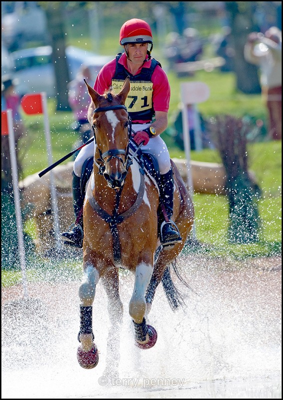 Powderham Castle 6 - Equestrian Sport