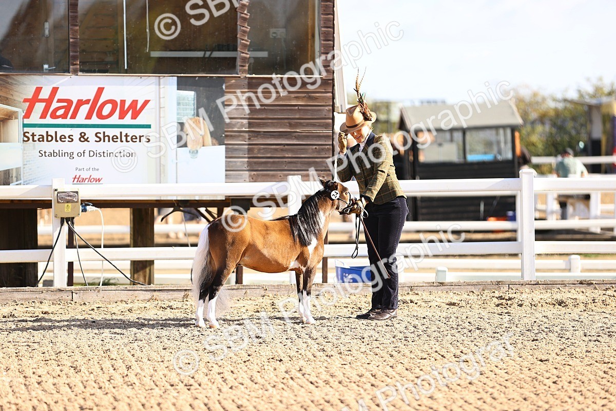 SBM_08519 - Class 402 - IH Veteran Pony