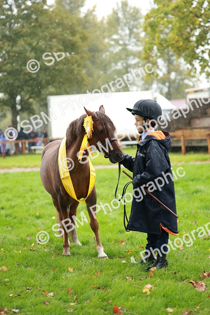 SBM_34928 - S10 - Best In Hand Horse & Pony