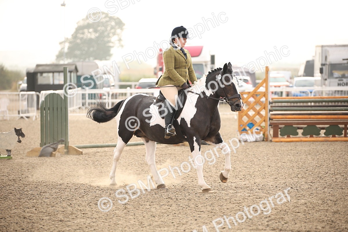 SBM_09748 - Class 401 Riding Club Pony