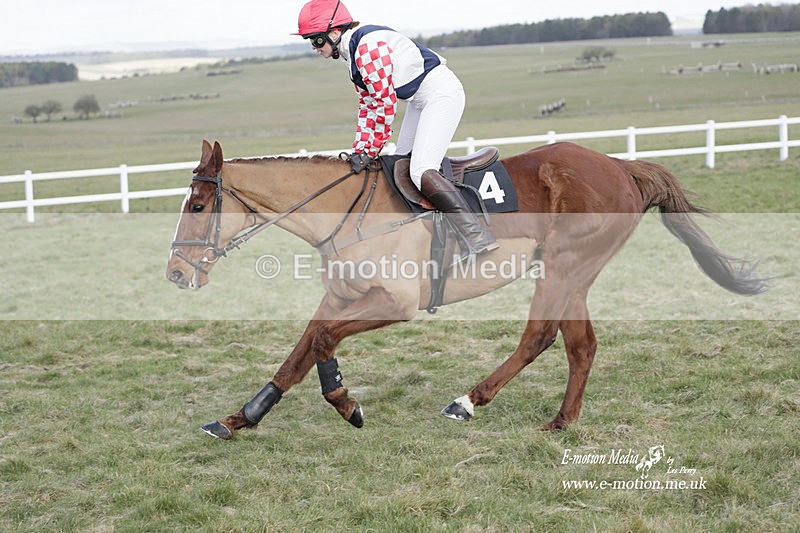 PtP 260223 147 - South & West Wilts Point-to-Point Larkhill 26/02/23