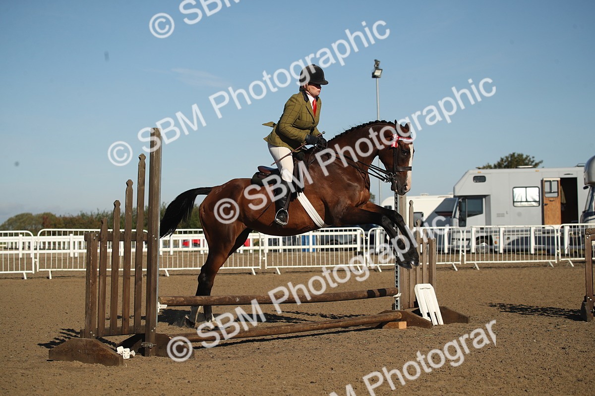 SBM_11331 - Class 501 -Riding Club Pony