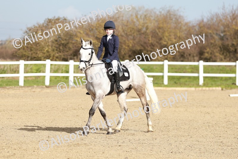 20260314-1046 - DR2 - Intro 3