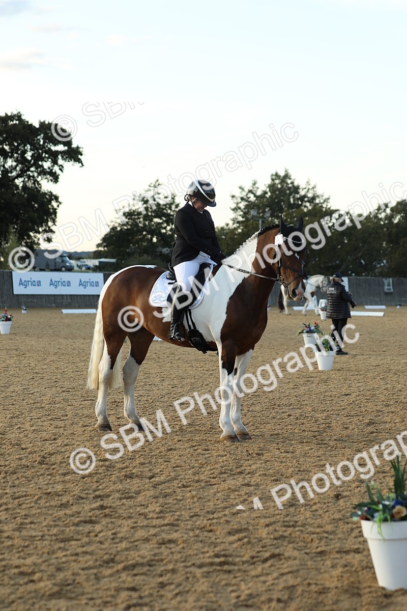 SBM_30603 - D20 - Grand Tour Championship - Elementary 44