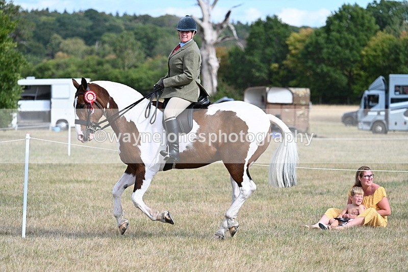 WJ7_7786 - Ridden Championship