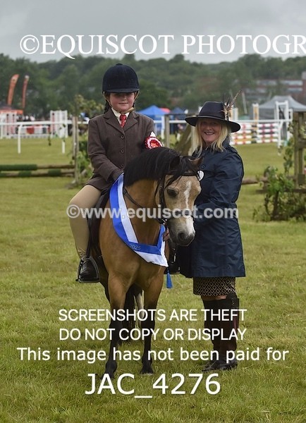 JAC_4276 - WORKING HUNTER CHAMPIONSHIP