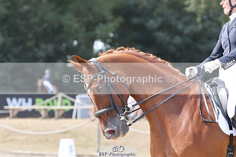 250809A-115437-02895 - 015-Sarah.StewartDJoe.Dimaggio