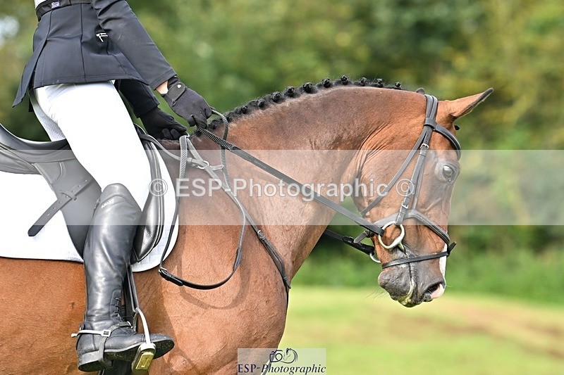 230826-091815-16016 - Sections A & B - 9 to 10am