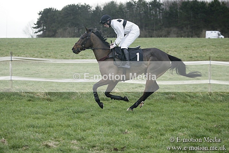 PtP 031217 370 - Hursley Hambledon Point-to-Point Larkhill 03/12/17