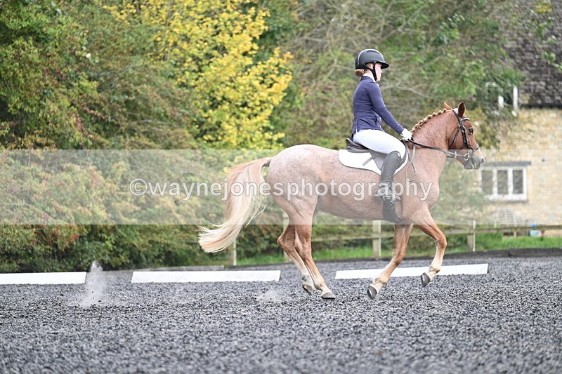 WJ7_3730 - Time 11:04 to 11:38