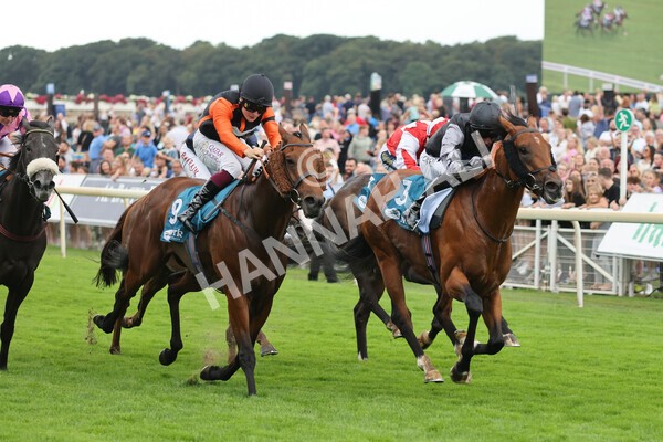 yr04092022r2-26 - Race 2 2.20pm John and Judith Marshall Memorial Stakes