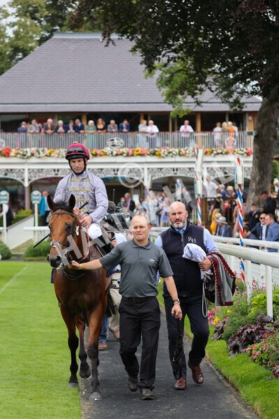 yr20082021r3-35 - Race 3 3.00pm Al Basti Equiworld Dubai Gimcrack Stakes
