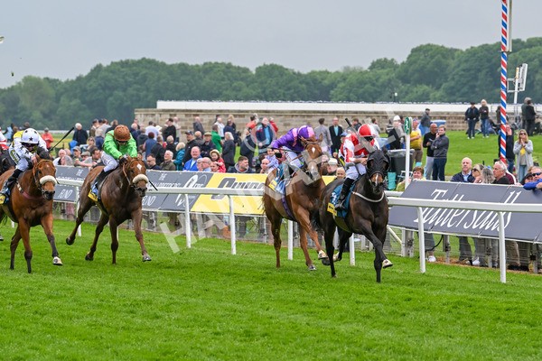 150524-Race 2-Aleezdancer-3826 - Race 2 2.45pm Churchill Tyres Handicap