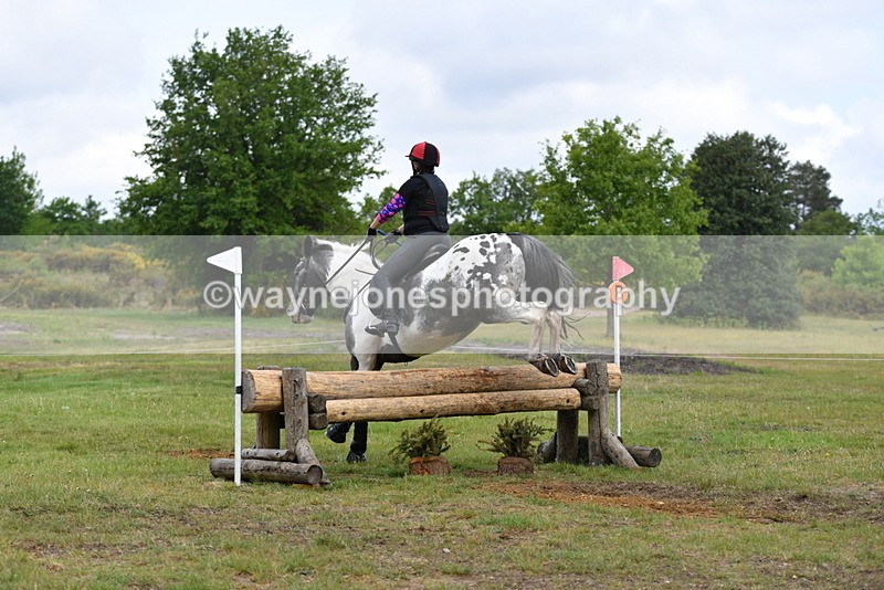 WJ5_4558 - Time 10:09 to 10:37