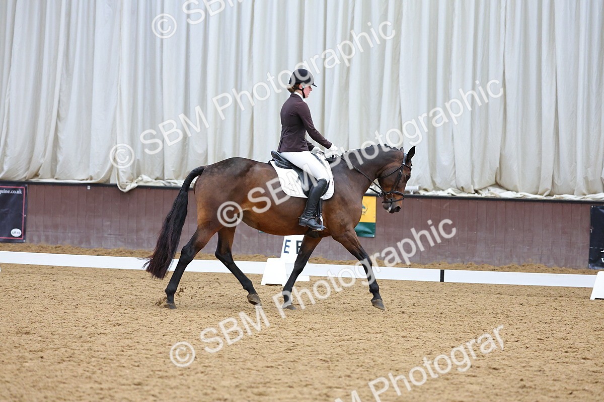 SBM_002025 - Class 5 - Novice 3