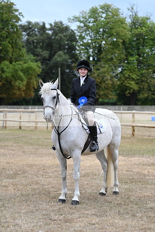 WJ7_1007 - Class 7 Riding Club Show Horse