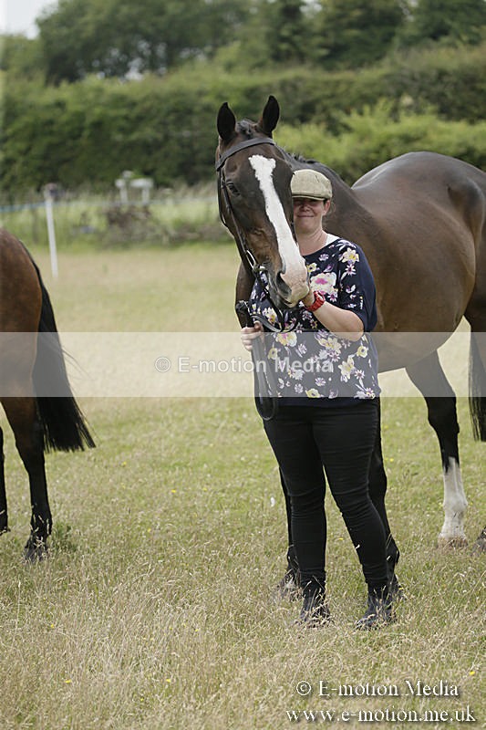 B230619-0582 - Bourne Valley Riding Club Summer Show 23/06/19