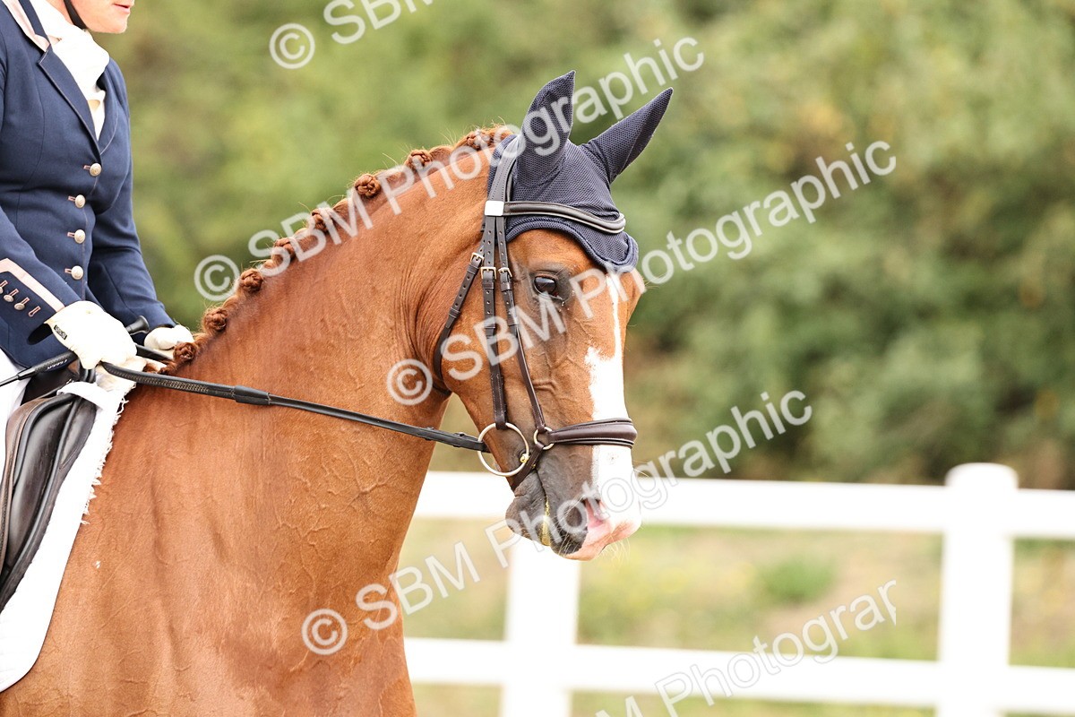 SBM_011478 - Class 1 - Prelim 4