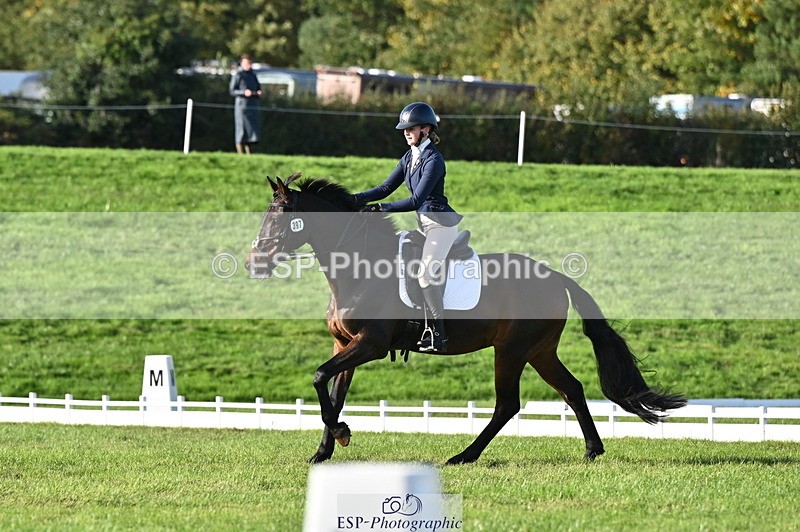 251024A-152429-14041 - E-397-Verity.Leggett