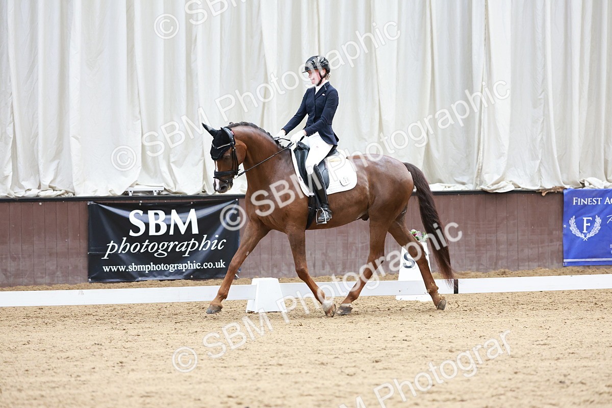 SBM_017975 - Class 15 - FEI Junior