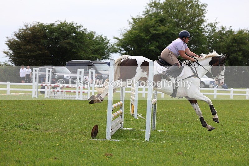 3E7A1687 - Class 13: Senior British Novice/90cm open
