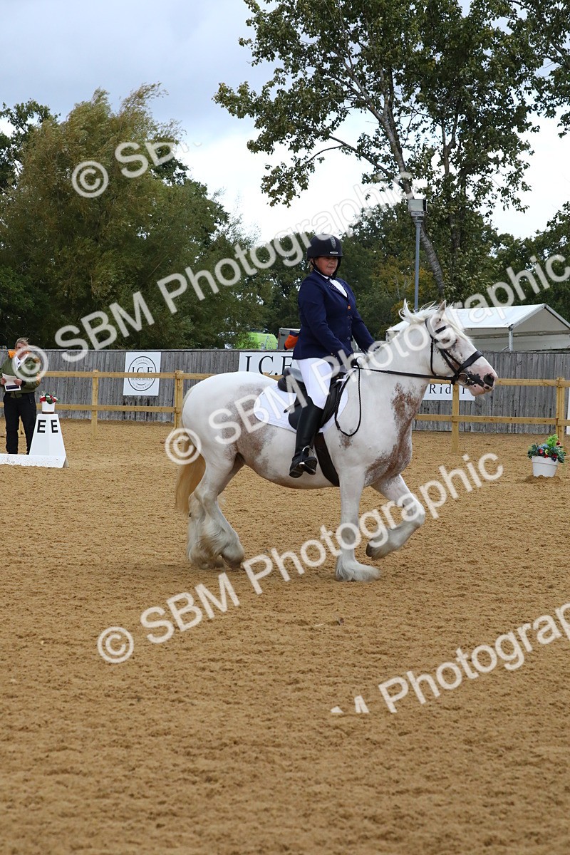 SBM_20861 - D5 - Small Tour Championshop Intro 2