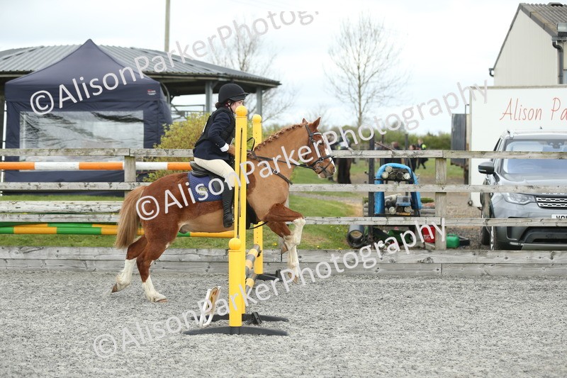 20260412-0609 - Show Jumping