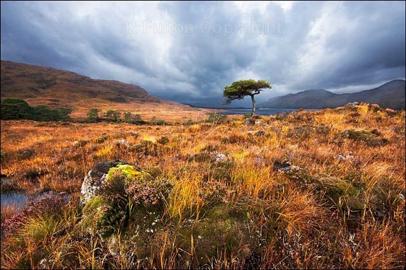 Autumn Storm - Landscapes