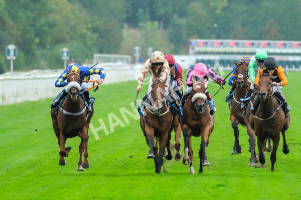 080925-Race 3-Rock N Roll Pinkie-8375 - Race 3 3.30pm Skybet Proud To Support ROR Stayers Handicap