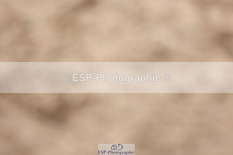 250629-101454-10431 - Cls 27 A&B Winter Summer 128cm & 138cm