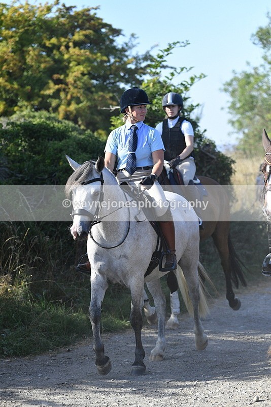 WJ5_4917 - Walk out with the hounds