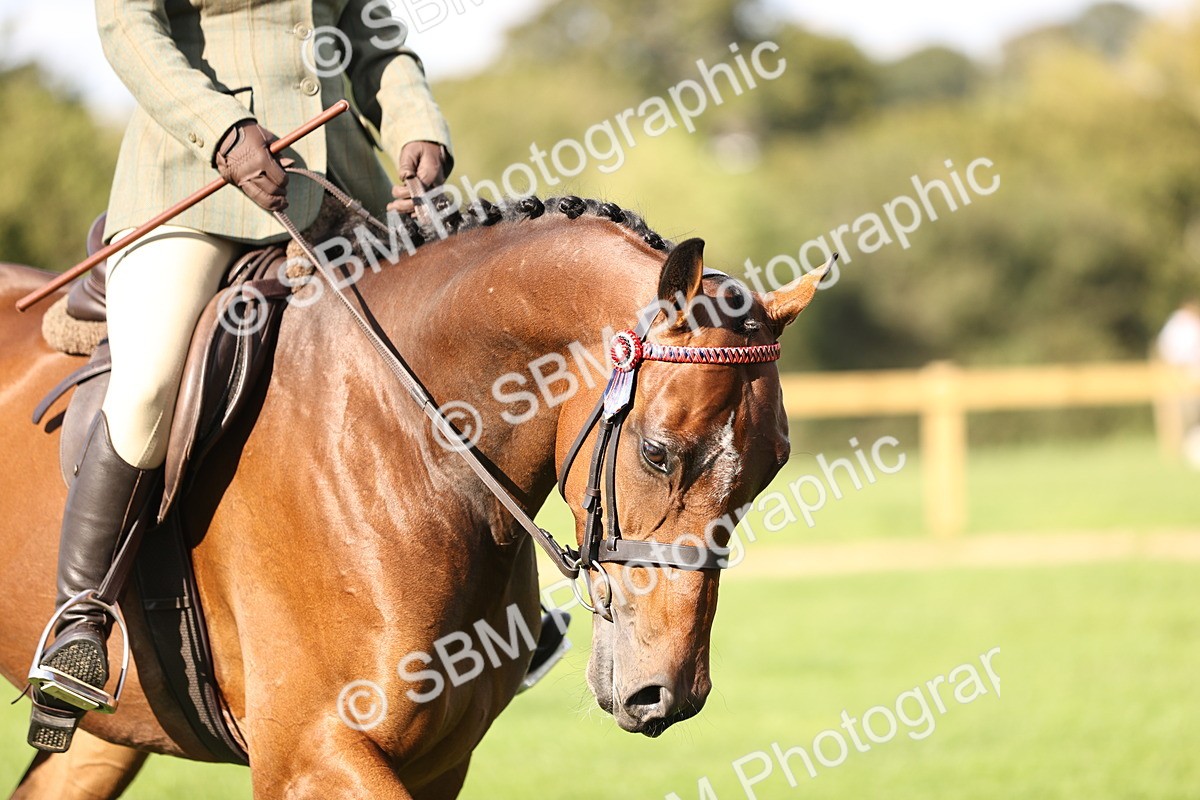SBM_26377 - S6 - Novice & Newcomers Ridden Horse