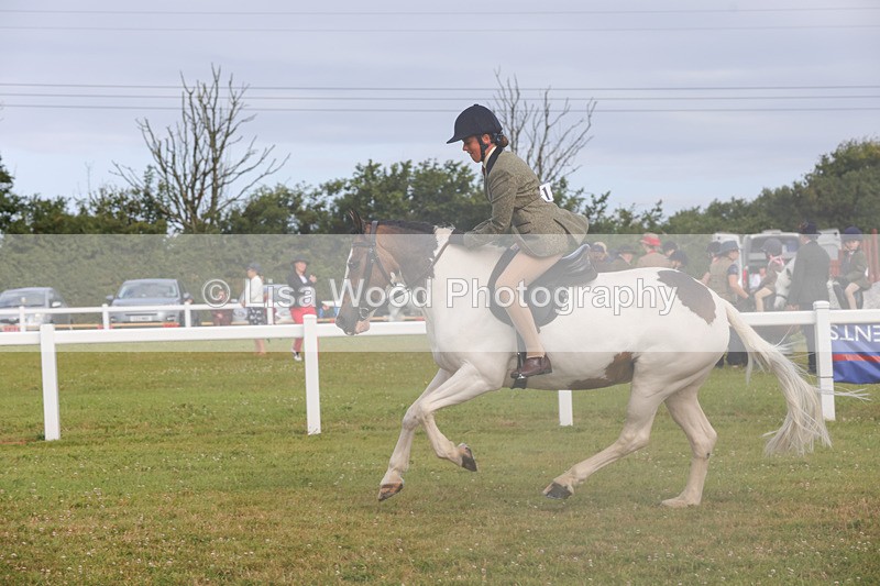 1X9A3056 - Class 26: Ridden Plaited Coloured Pony
