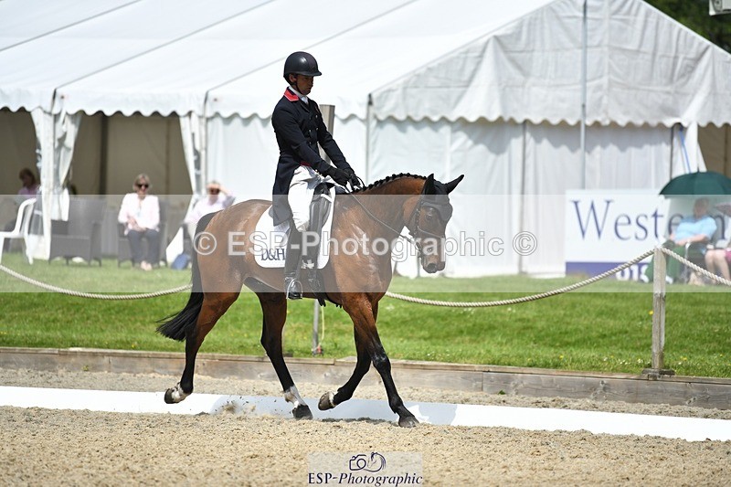 230525-115200-01919 - 104-GALAKIS_DE_L'OCEAN-Harry_Meade-WEDTrotUp+DR