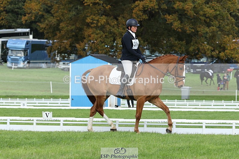 251023A-104825-03231 - D-310-Emily.R.Vincent