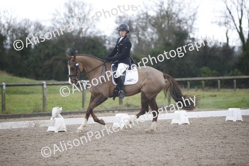 20260127-0113 - Class 15 - BD Prelim 2