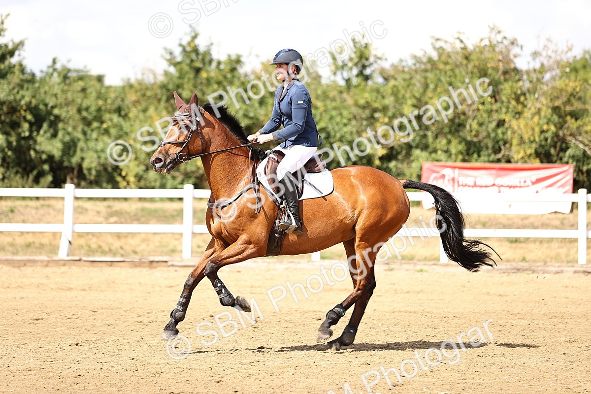 SBM_027117 - Class 14 - Senior 1.15m Open