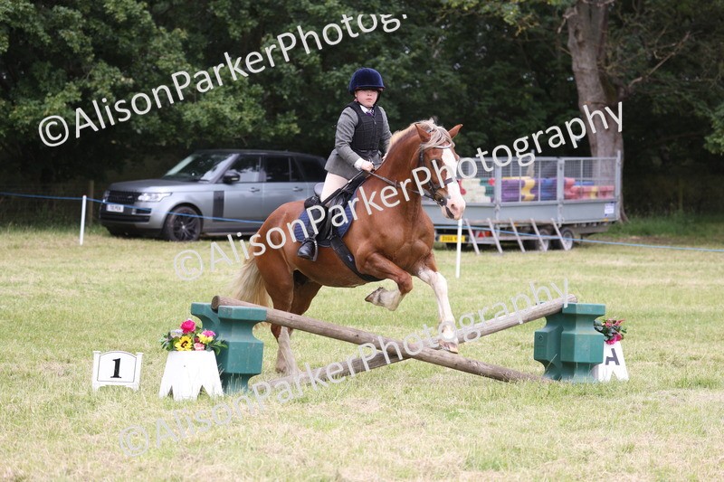 20260614-3079 - Class 22 - Open Working Hunter