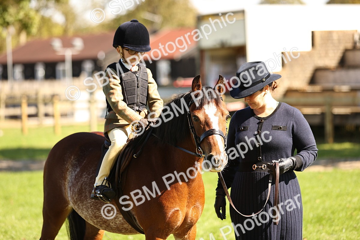 SBM_19275 - S3 - TSR Ridden Pony Showing