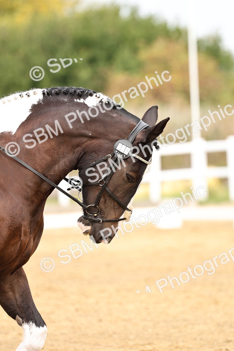 SBM_012221 - Class 2 - Prelim 5