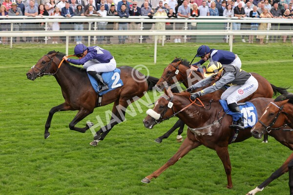 yr18082021r7-20 - Race 7 5.20pm Sky Bet Nursery Handicap