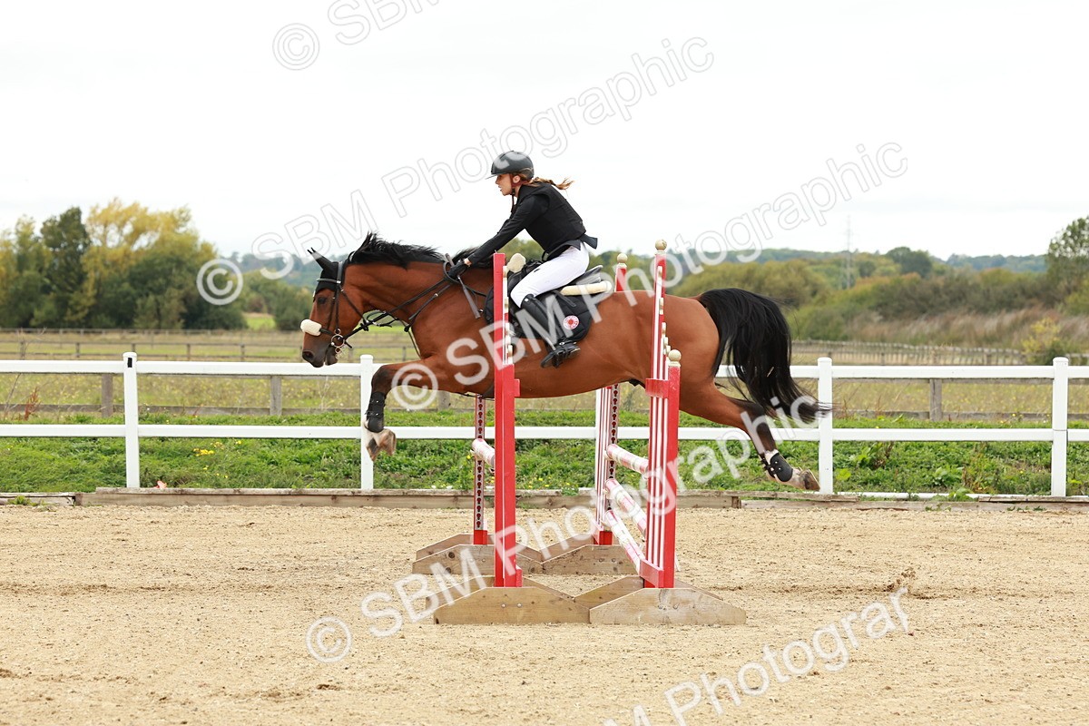 1I0A6872 - Class 2 - Senior British Novice