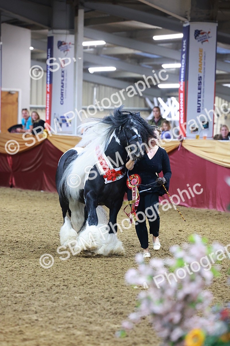 SBM_14938 - Class L - Coloured Champ
