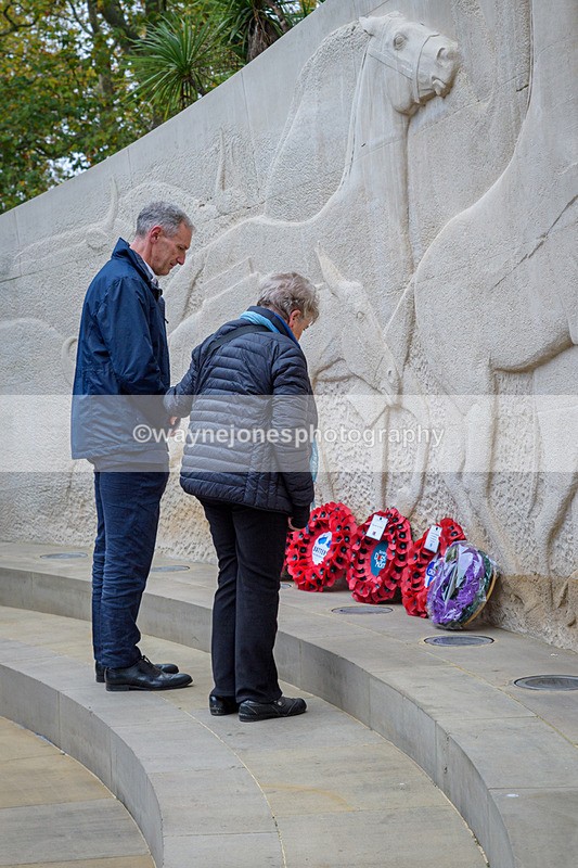 NGP_8213 - 2024 Animals in War Remembrance Gathering