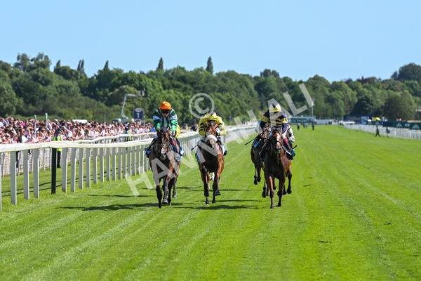 120725-Race 5-Amazing Journey-5880 - Race 5 4.15pm John Smith's Nursery Handicap