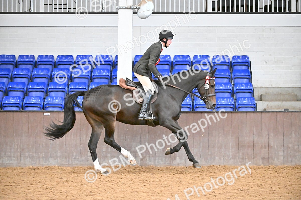 SBM_001480 - Class 19,20 - Ridden Native, Foreign Breeds & Warmbloods