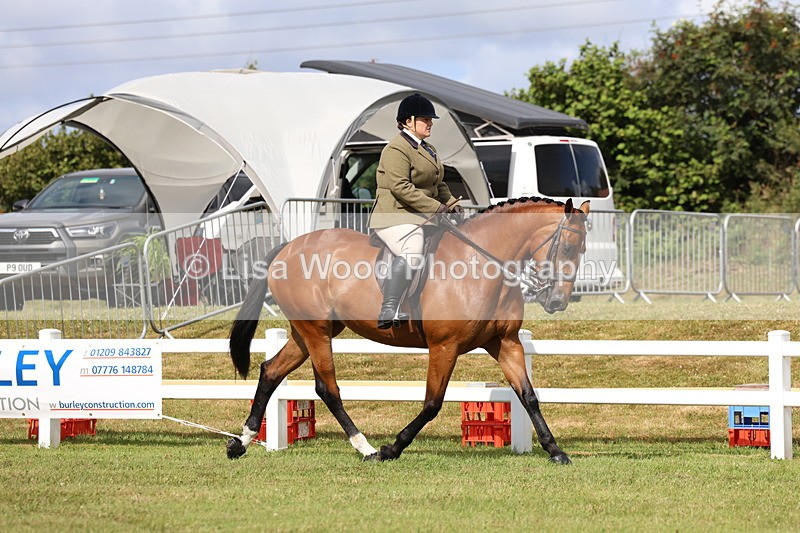 3E7A9291 - Class 4: Rising Star M/H Hunter