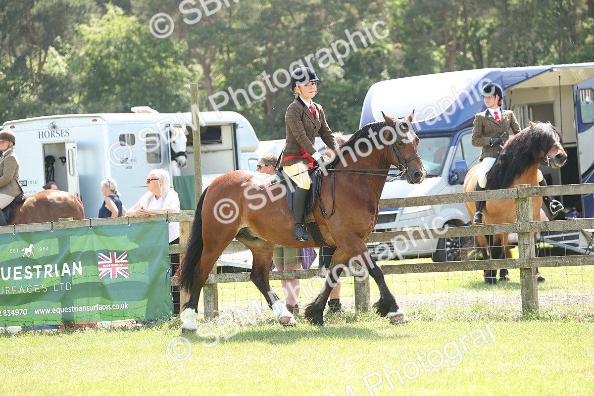 SBM_07008 - Class 26-30 - Mountain and Moorland Ridden